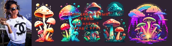 дурь Алексин