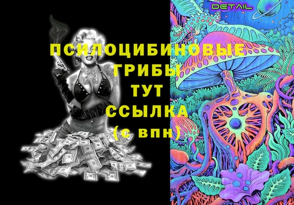 дурь Алексин