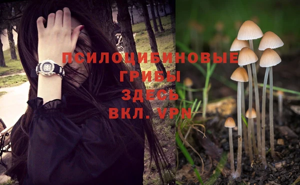 Альфа ПВП Сосновка